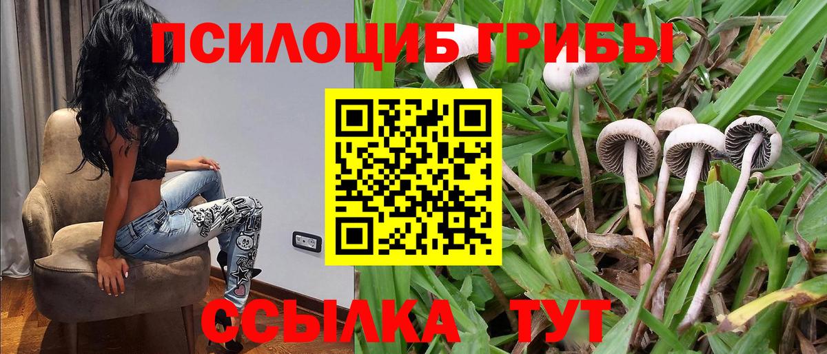 Галлюциногенные грибы Psilocybine cubensis  Вход с VPN  Псилоцибиновые грибы Psilocybine cubensis  Лесосибирск 